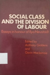 Social Class and the Division of Labour: Essays in honour of Ilya Neustadt